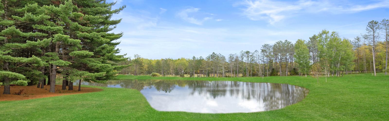 Take a Dip in our one-acre pond with beach