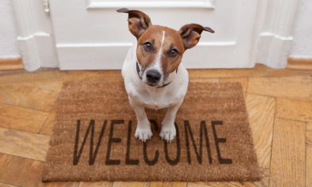 Dog on Welcome mat